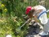 Atelier nature